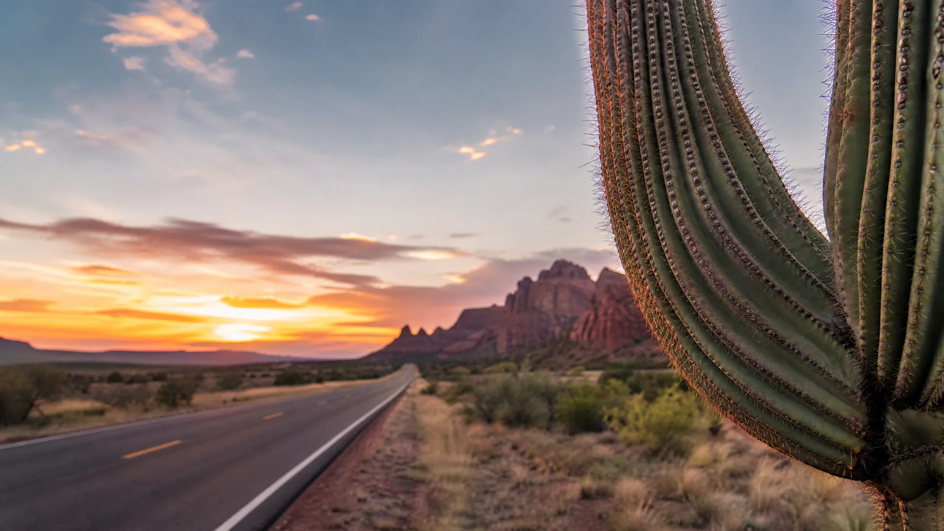 A two-lane road runs through desert scrub toward rocky hills at sunset, with a large saguaro cactus in sharp focus at the right edge of the frame.