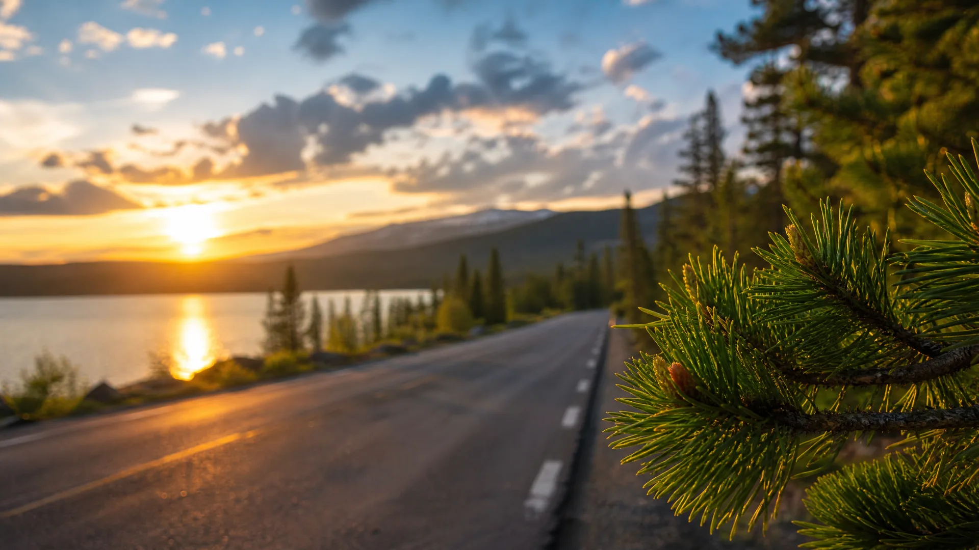 A paved two-lane road runs beside a lake at sunset, with conifers and a distant mountain ridge in the background and a pine branch in sharp focus at the right edge.