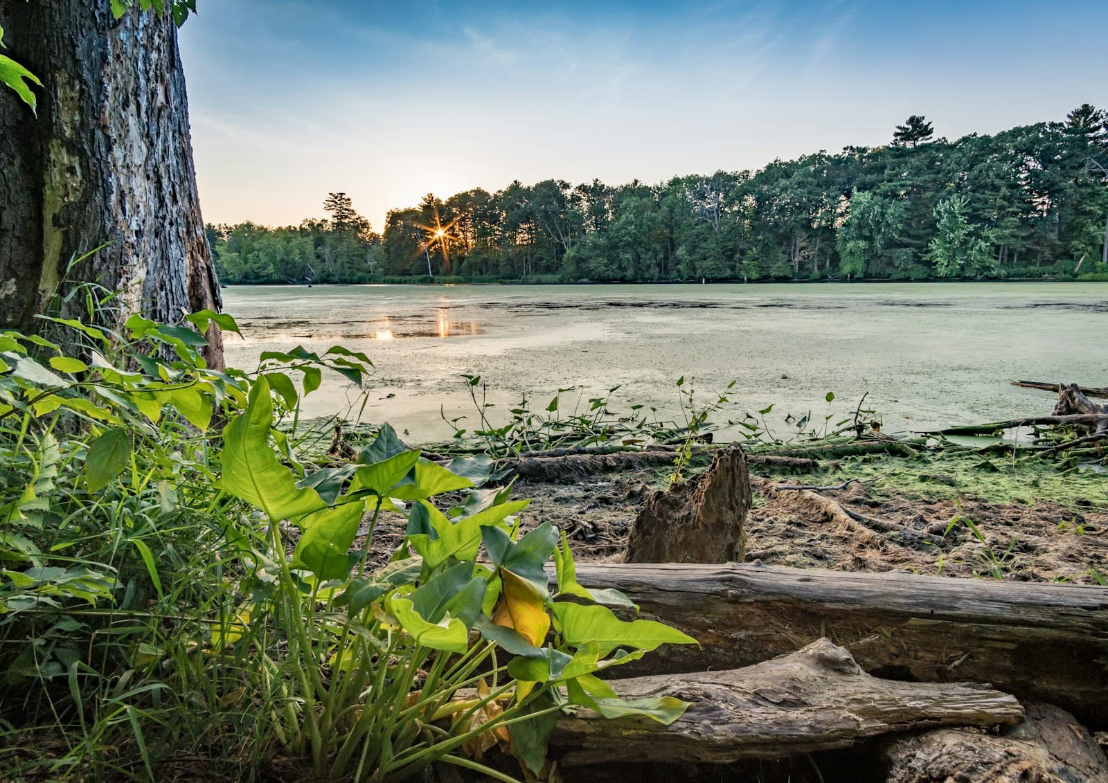 Nashua, New Hampshire cityscape and street view
