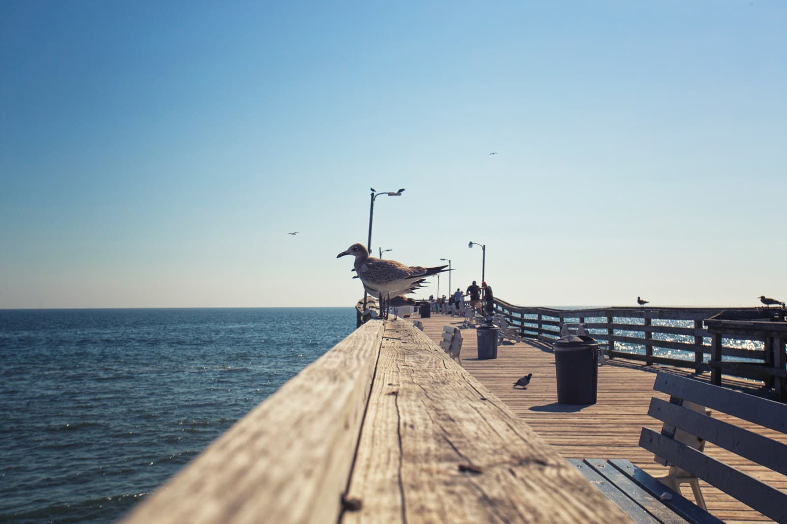 Virginia Beach, Virginia cityscape and street view